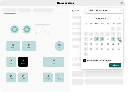 Duplicate bookings_ES