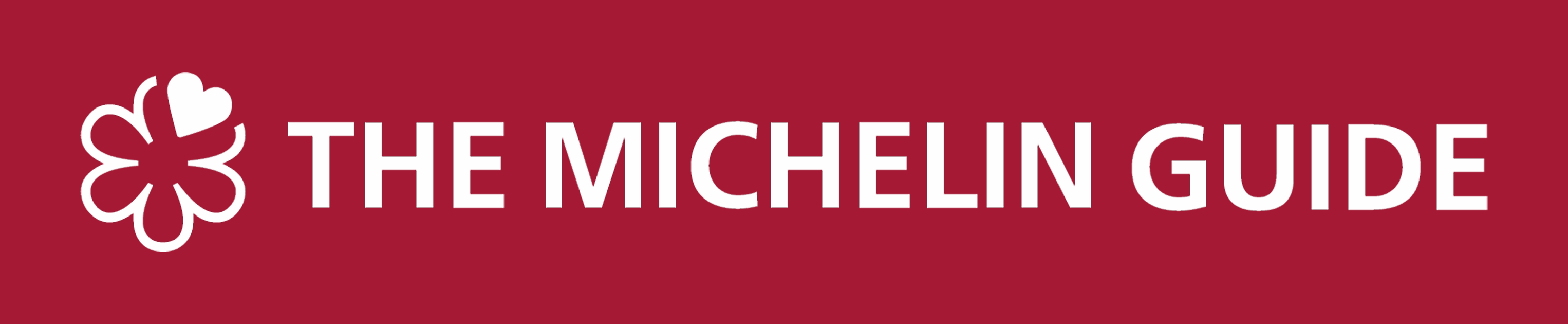 Michelin horizontal logo-1